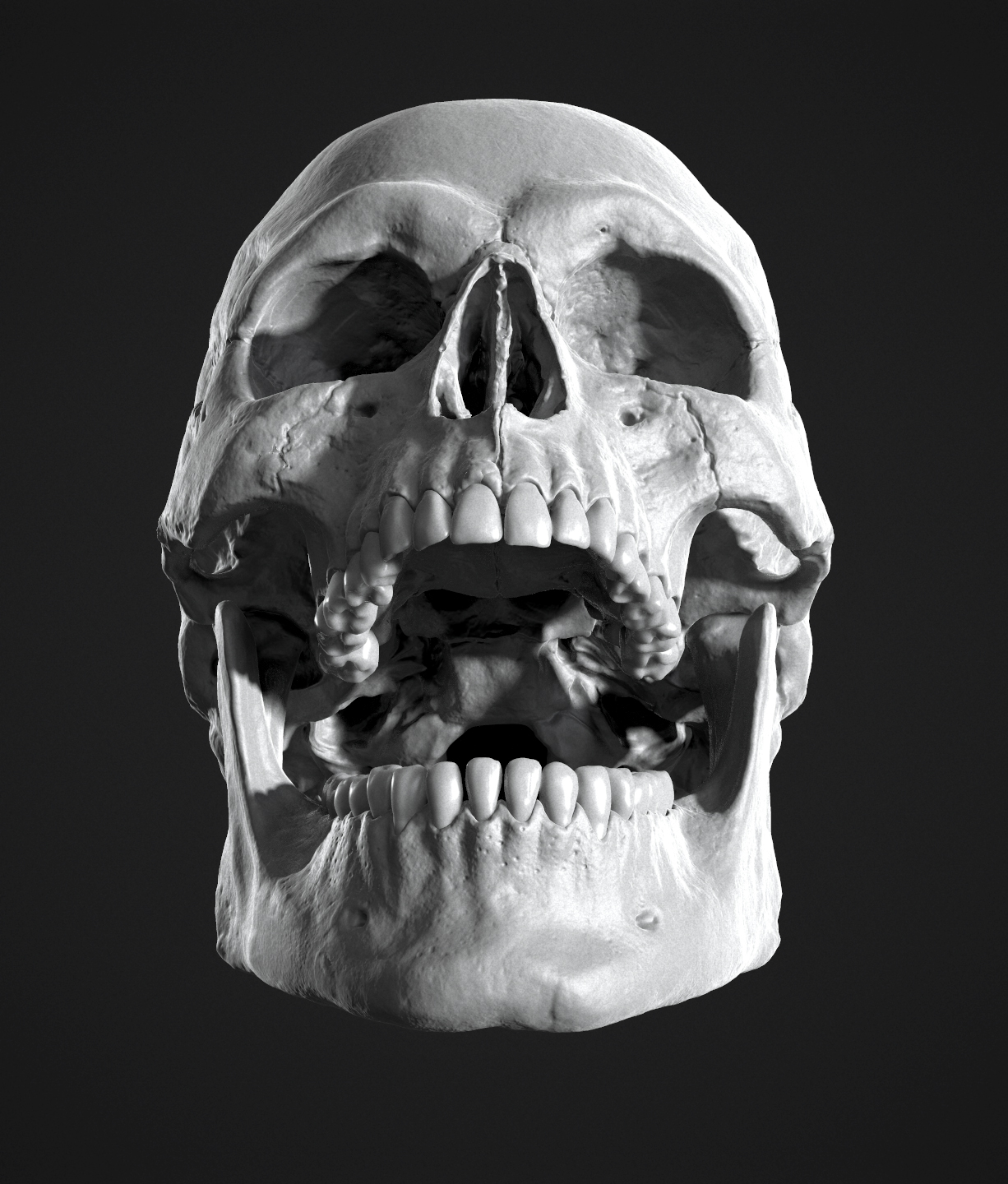 skull003.jpg