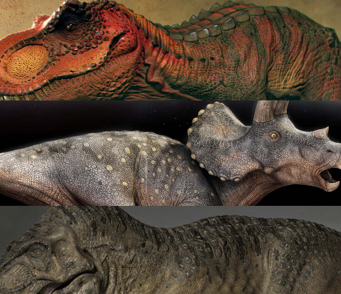Textures scales A.jpg
