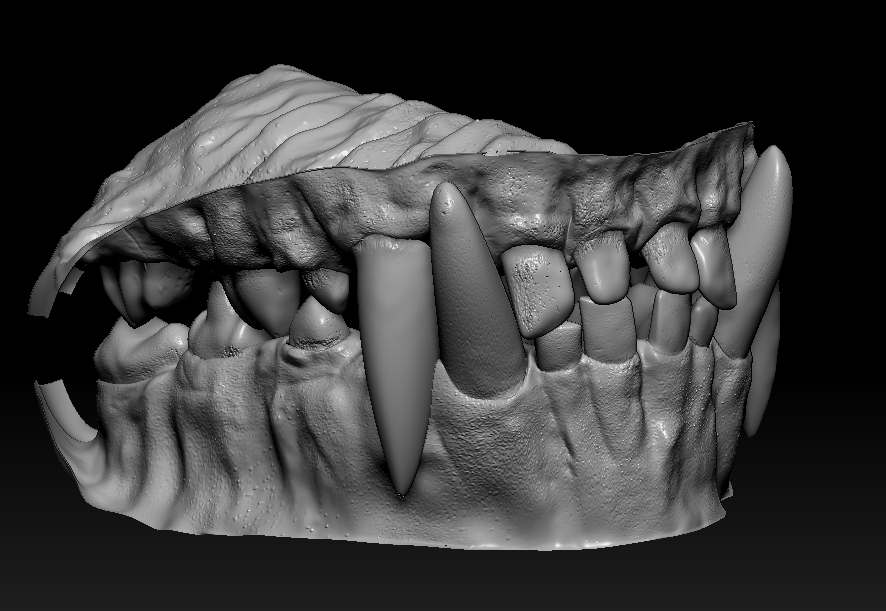 TeethProgress2-bumpviewer.jpg