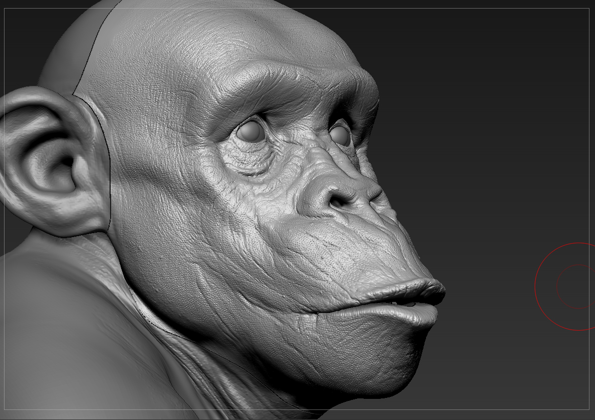 Chimp_0007