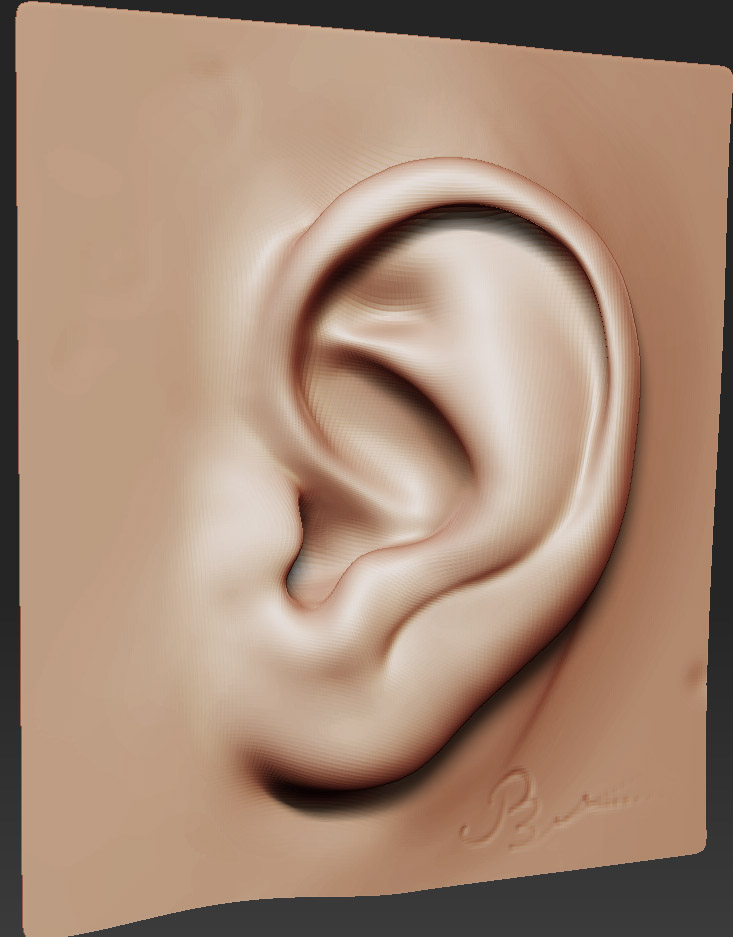 ear.jpg