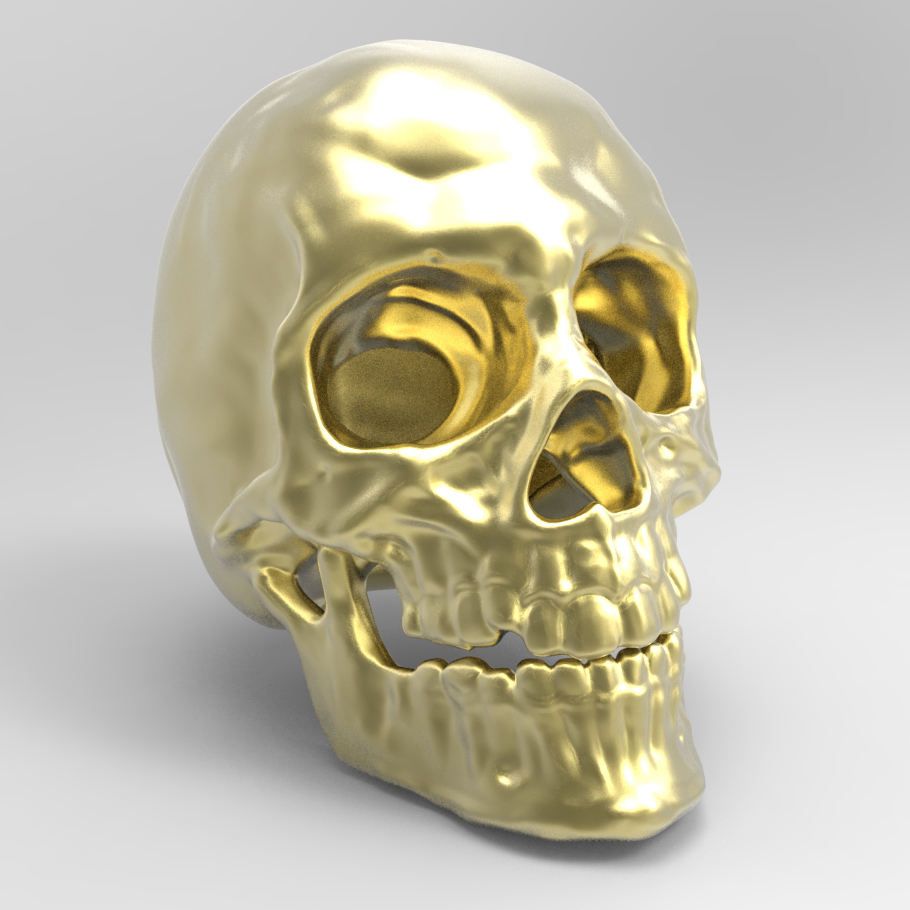 LaChau_Skull_3DPrint.jpg