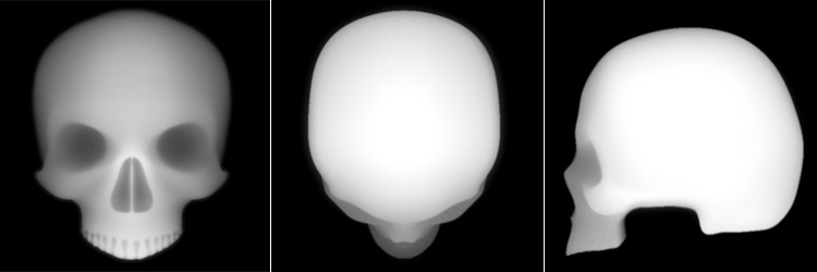 skull_alphas.jpg