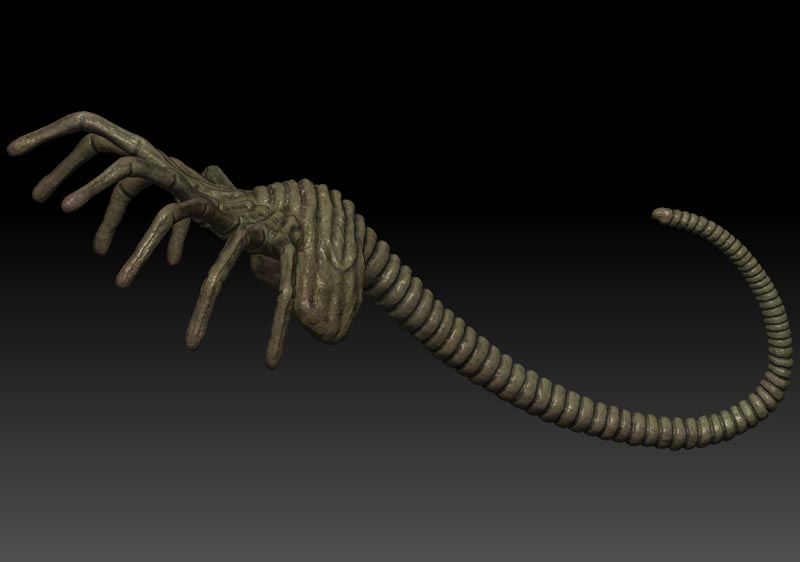 facehugger3 11.jpg