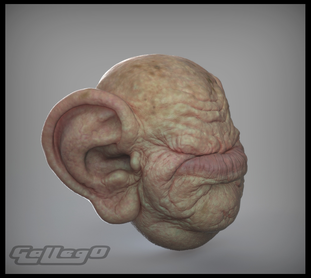 compops.jpg