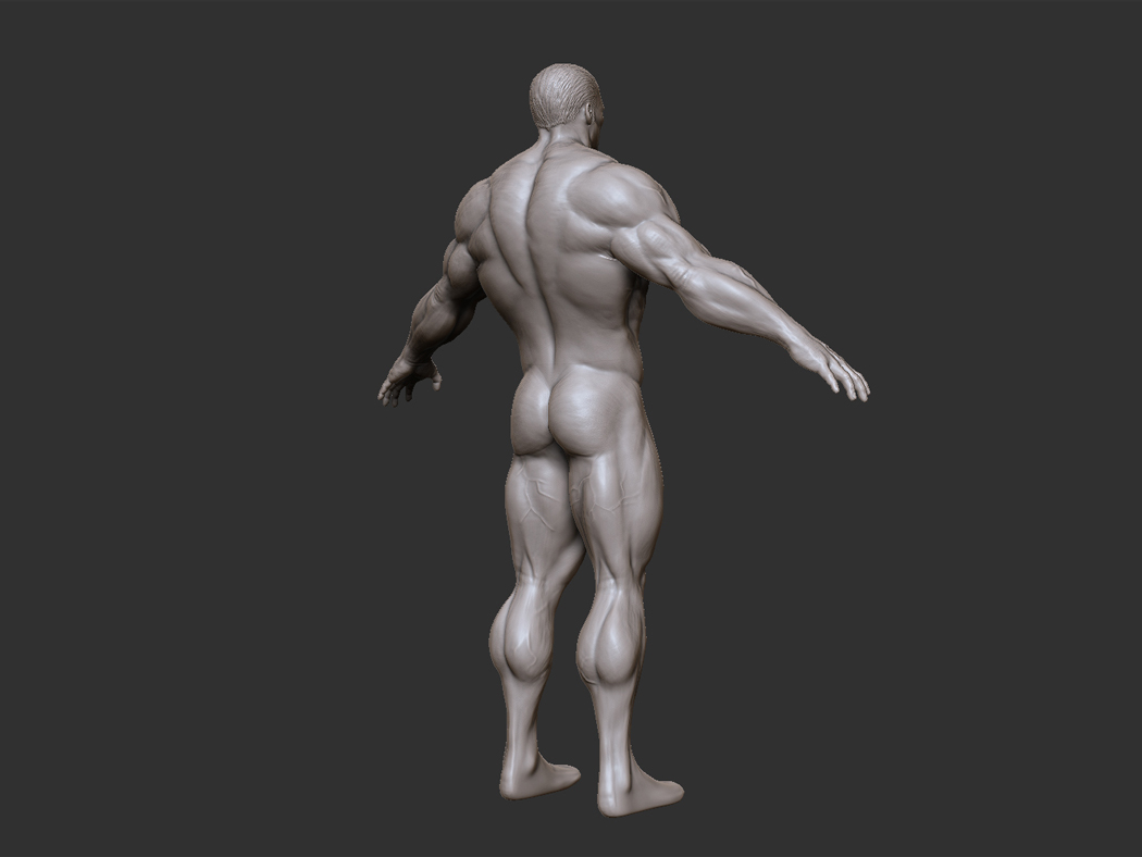 he-man_body_perspBR_01.jpg