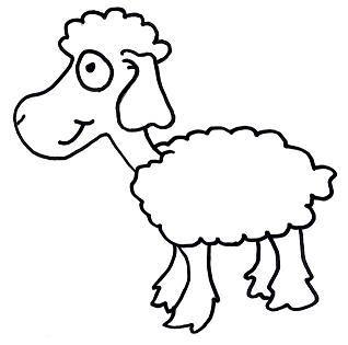 sheep.jpg
