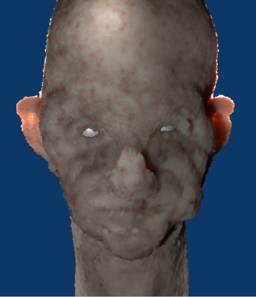 fleshhead0.gif