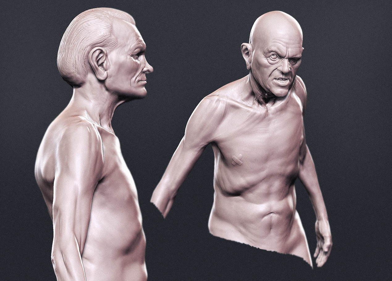 torso002.jpg