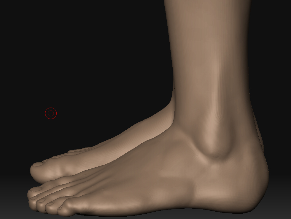 feet.jpg