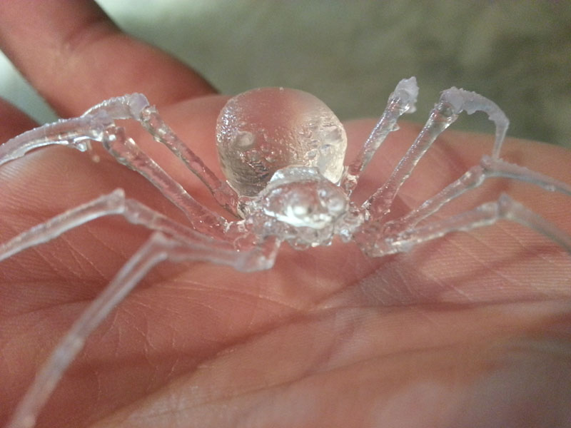 spider2.jpg