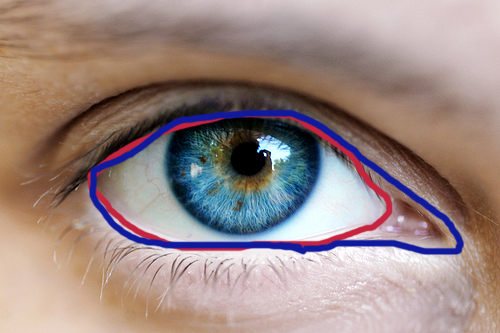 images-miscellaneous-2006-eye-500x500.jpg