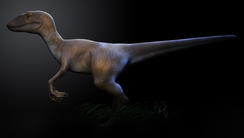 Render02.jpg