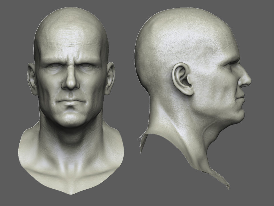 Head.jpg