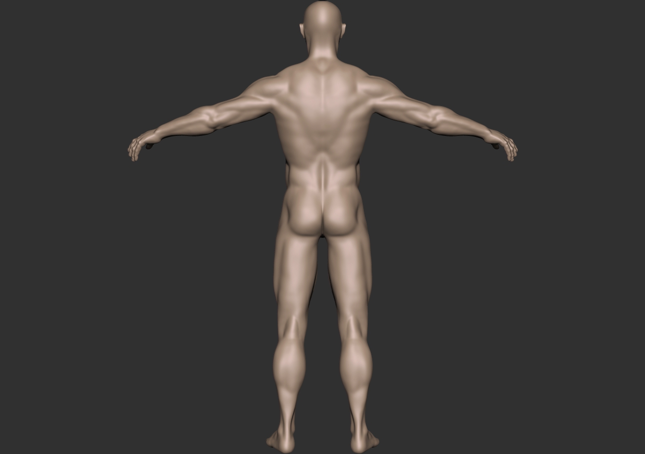 bodybuilder_back.jpg