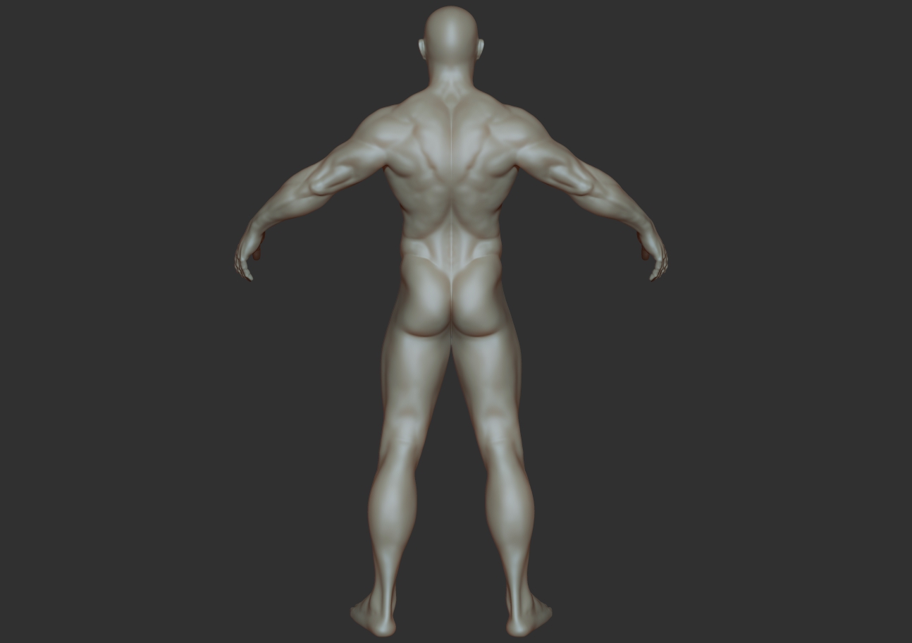 body builder_back.jpg