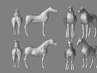 horse2skinned.jpg
