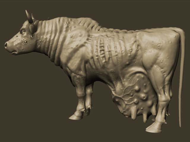 brahmin_4.jpg