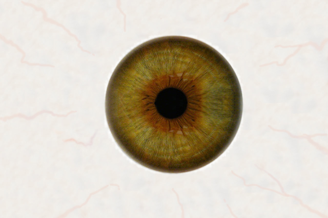 oog_brown.jpg