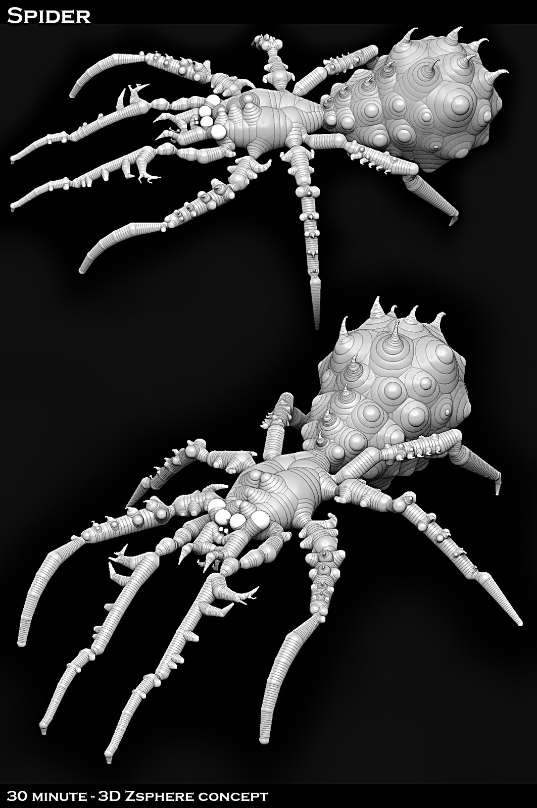 Spider_FINAL.jpg