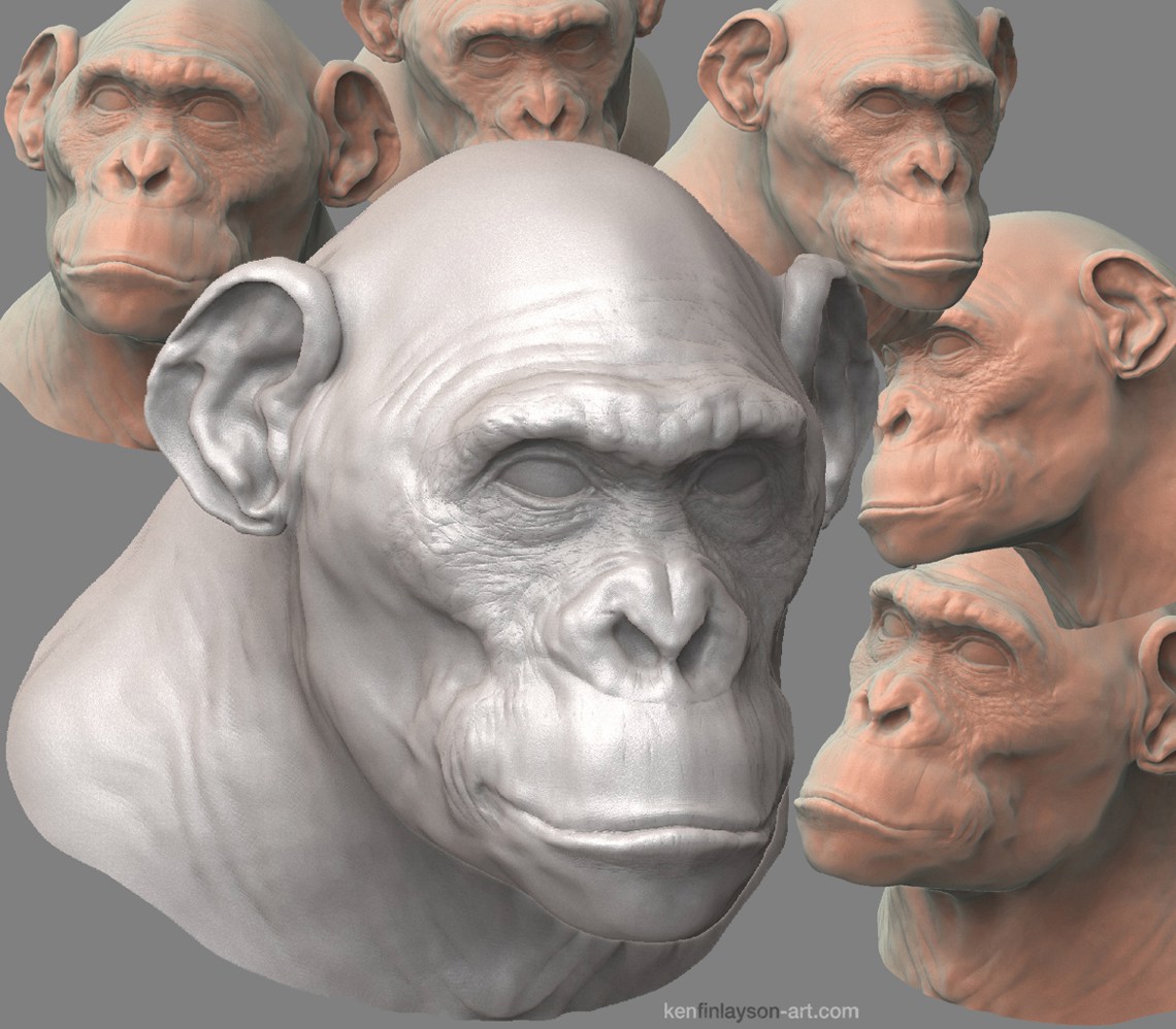 bonobo_8hrs_200.jpg