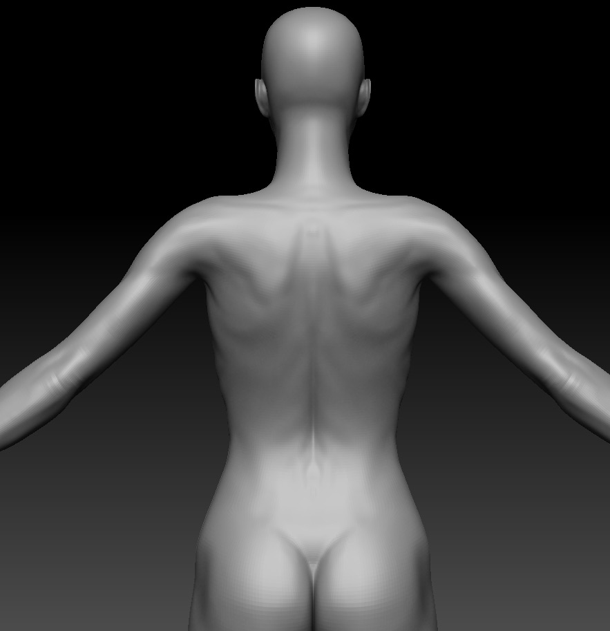 anatomy0006.jpg