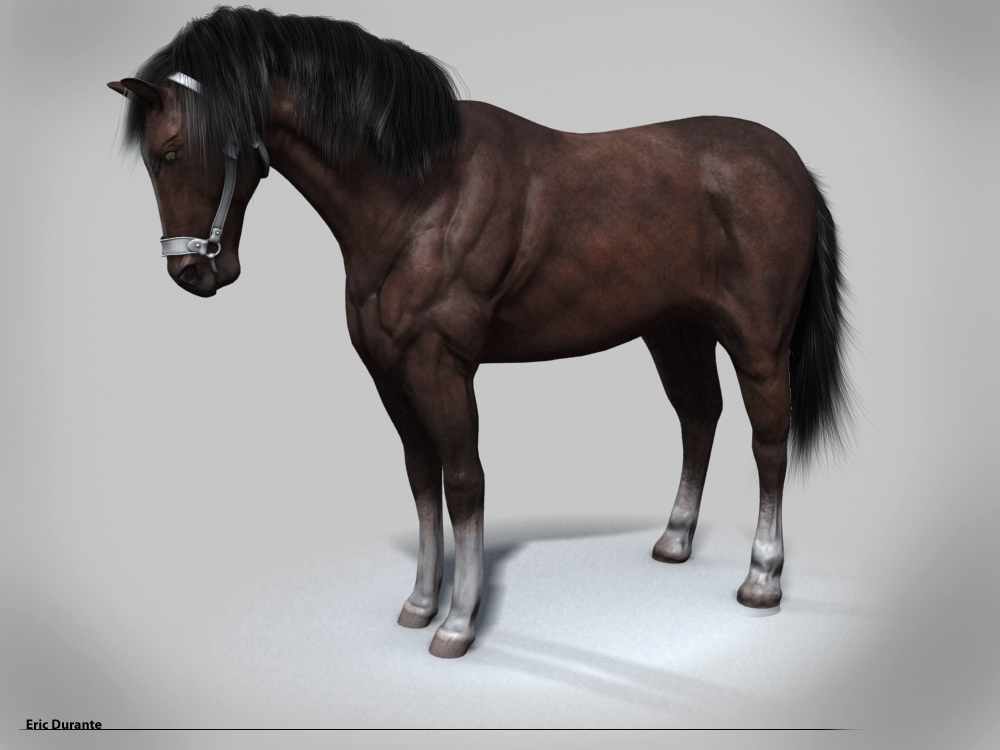 Horse_Shaded082309.jpg