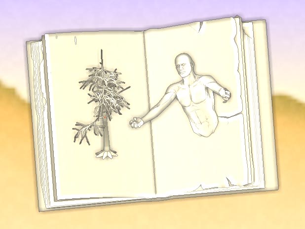 2 copy.jpg