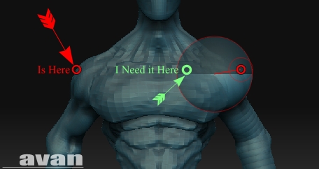 avn1.jpg