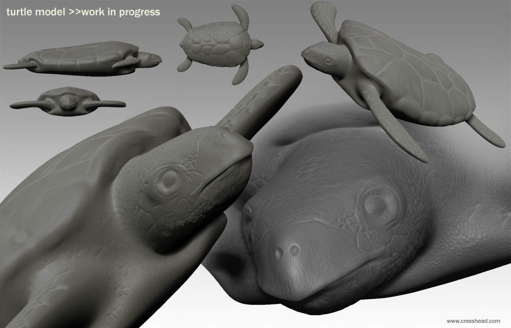 turtle_model_character_strip.jpg