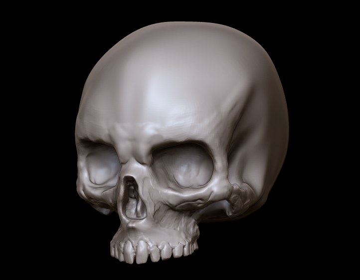 speedskull1.jpg
