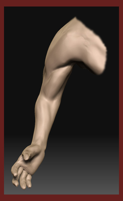 arm_front_2 copy.jpg