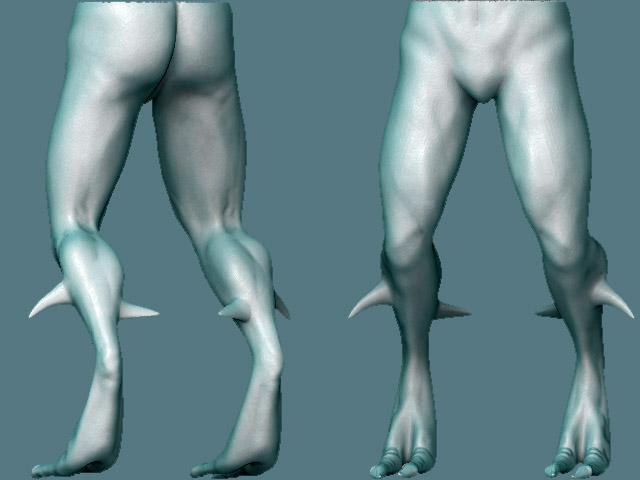 sealegs.jpg