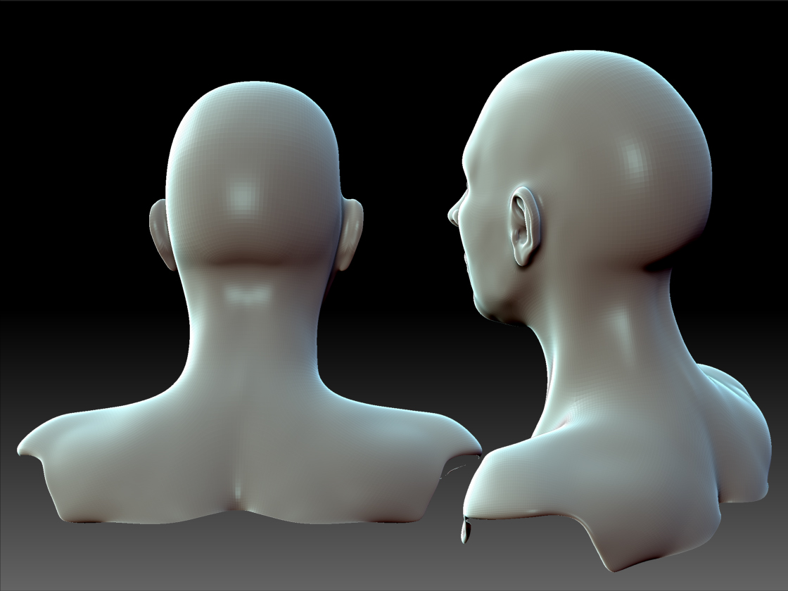 Bust WIP 09.jpg