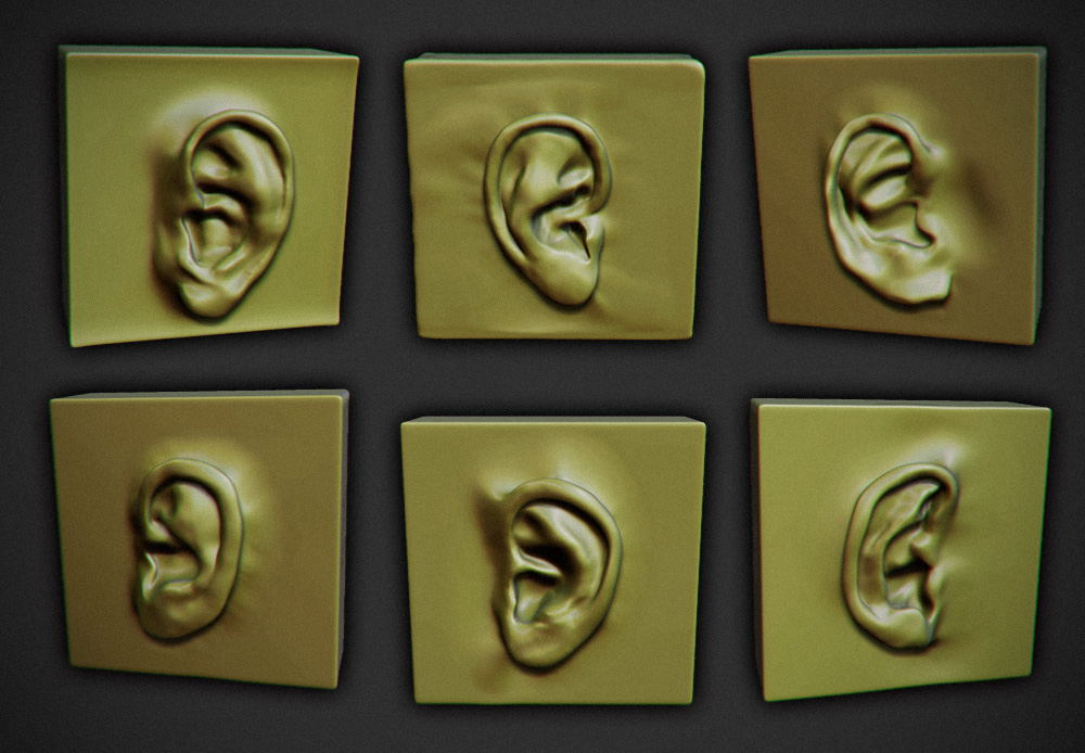 ears.jpg