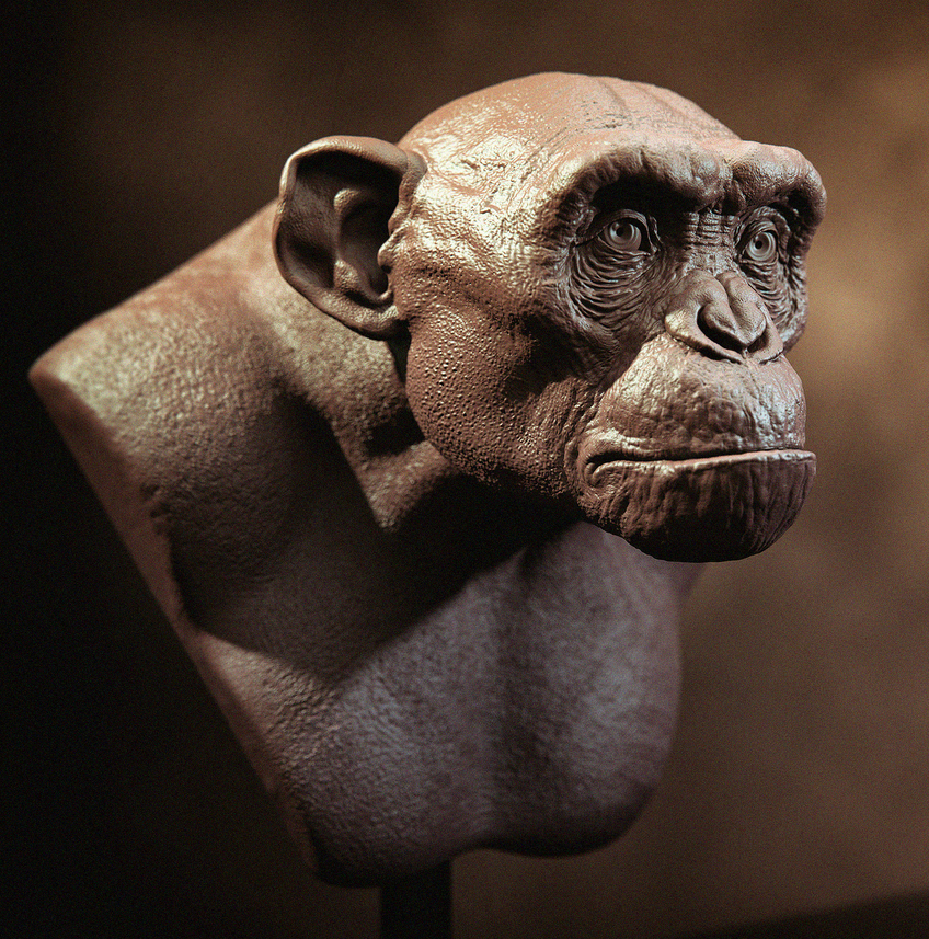 ape 005