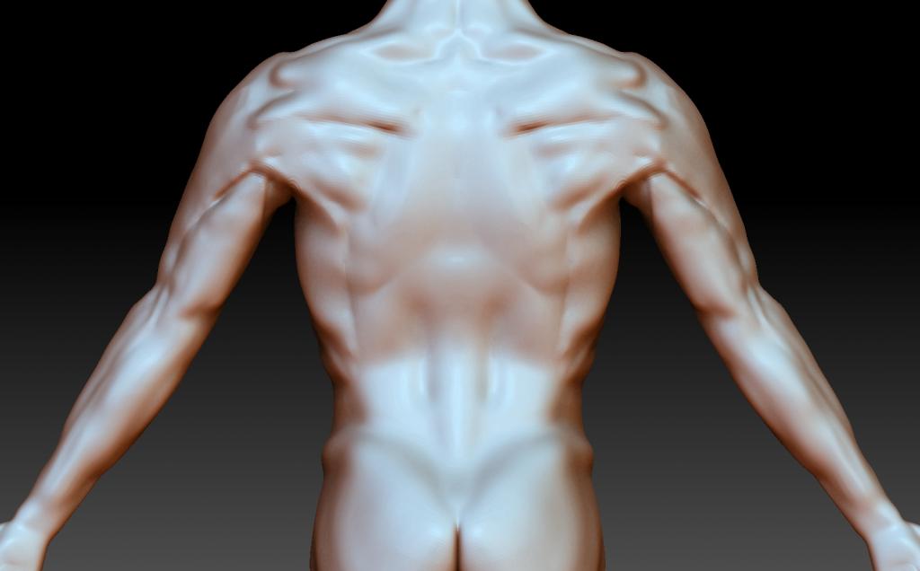Anatomybodyrear_zpseeb24bab.jpg