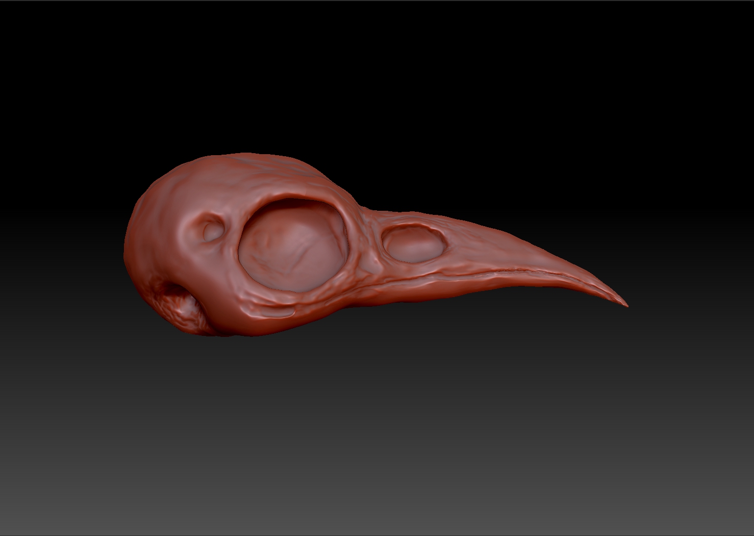 Raven-Skull2.jpg