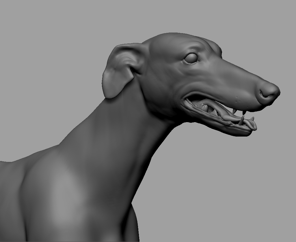 Tonie_wip2_04.jpg