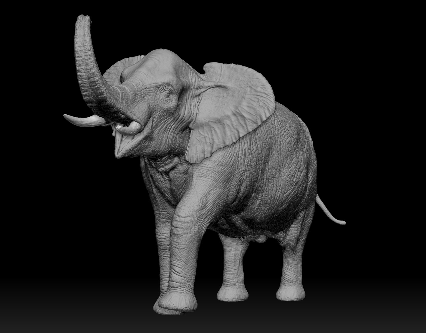 elephant_07.jpg