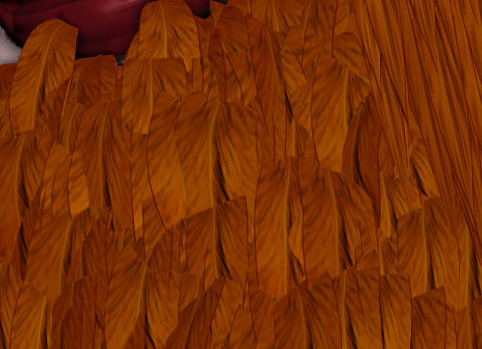 Feather texture1.jpg