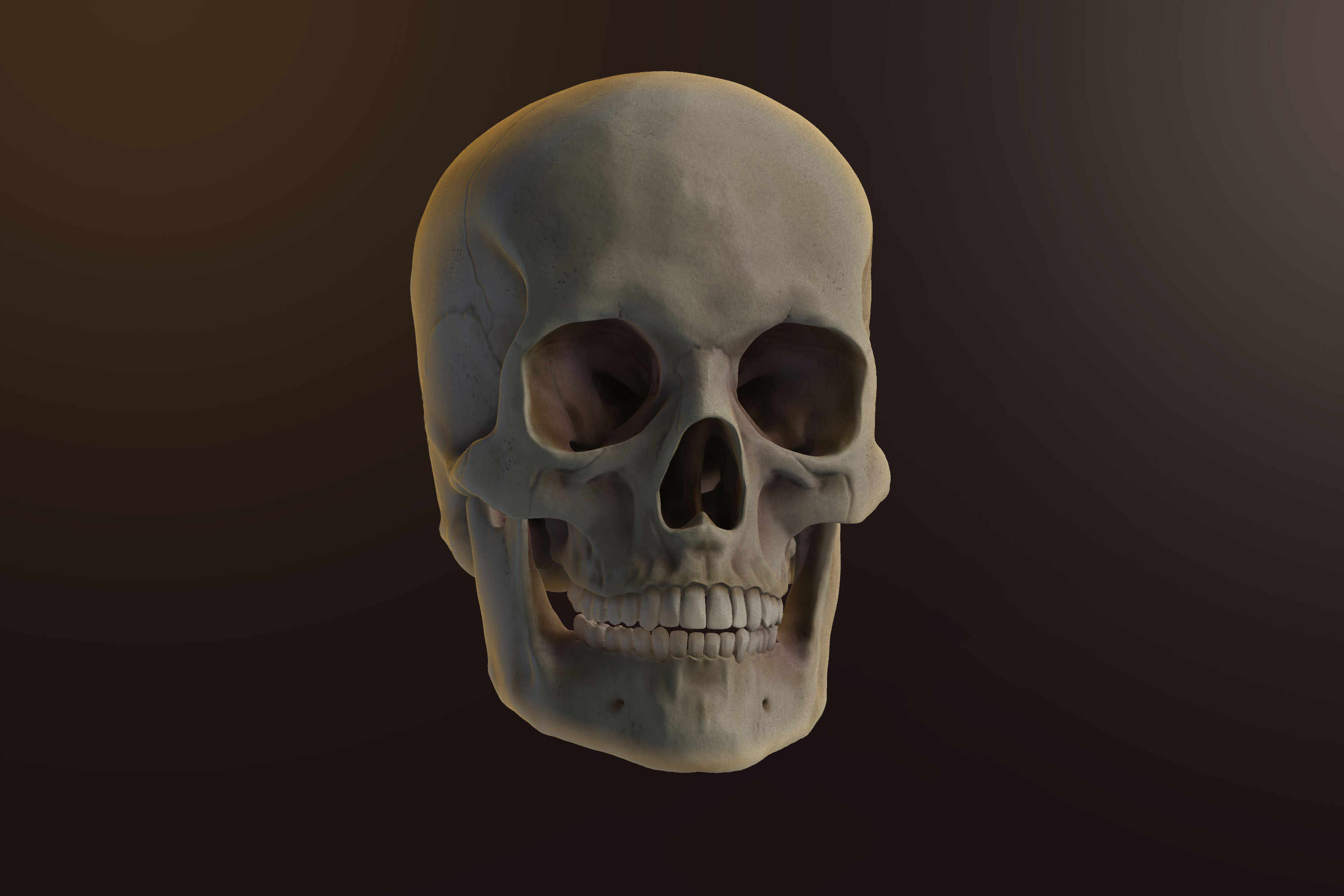RENDER_CRANEO_COMPO