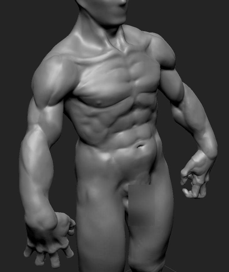 torso2.jpg