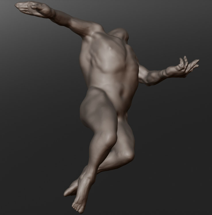 CLASSICAL TORSO 15.jpg