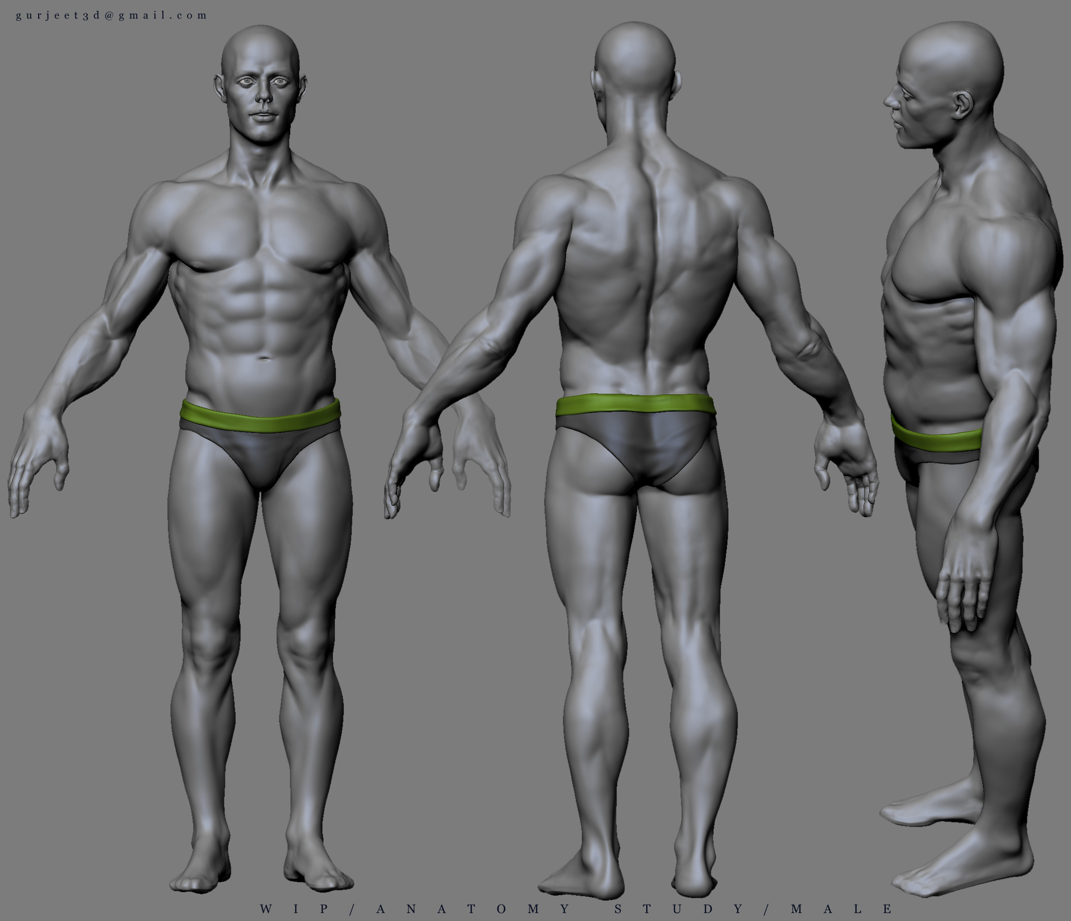 anatomy-study72.jpg