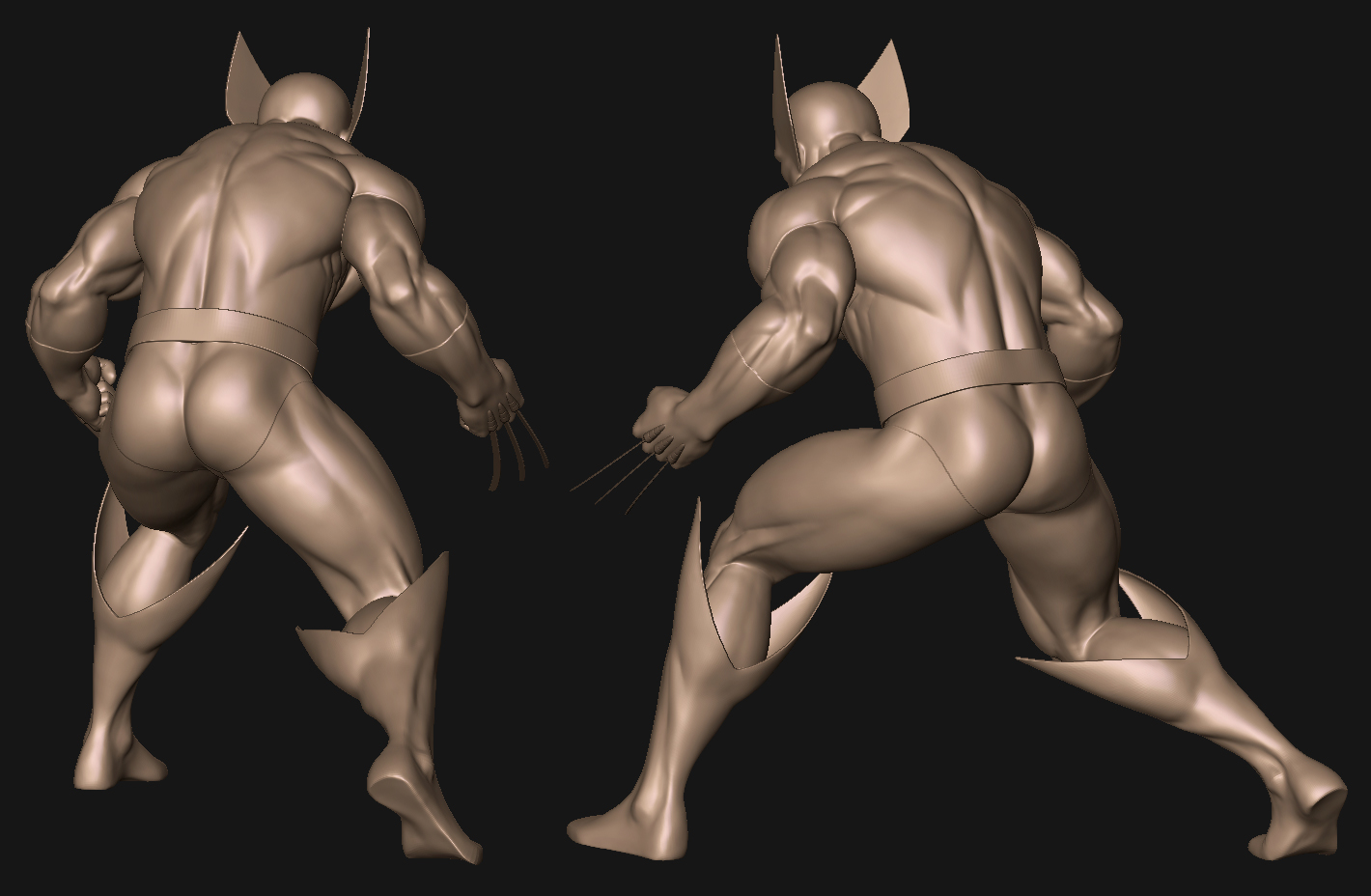 Wolv_RearViews.jpg