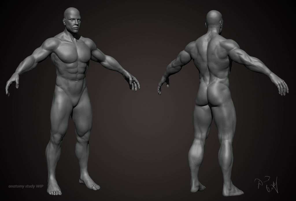 Render3.jpg