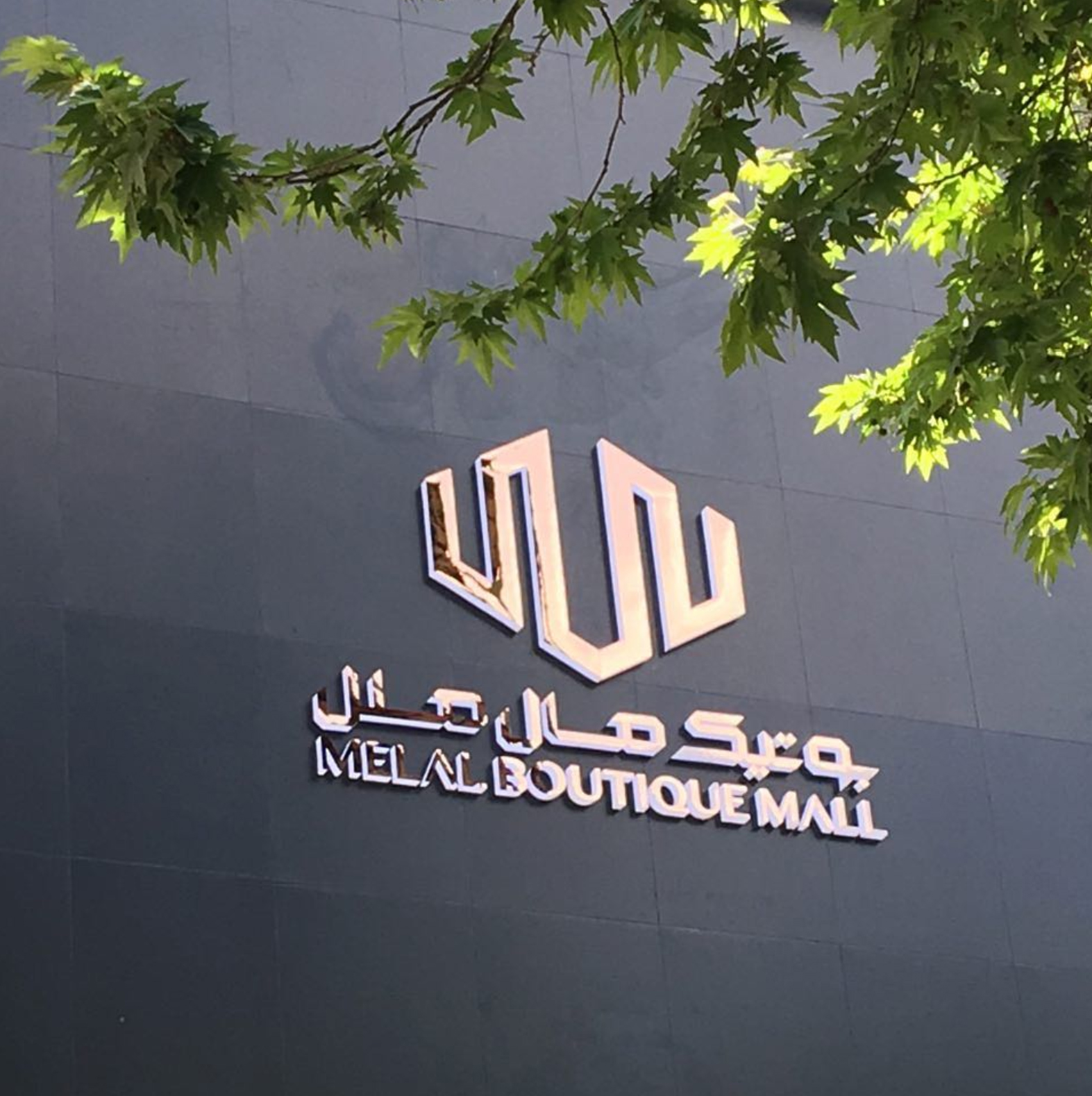 02-1.JPG