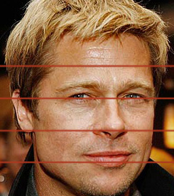 bradpitt300[1].jpg