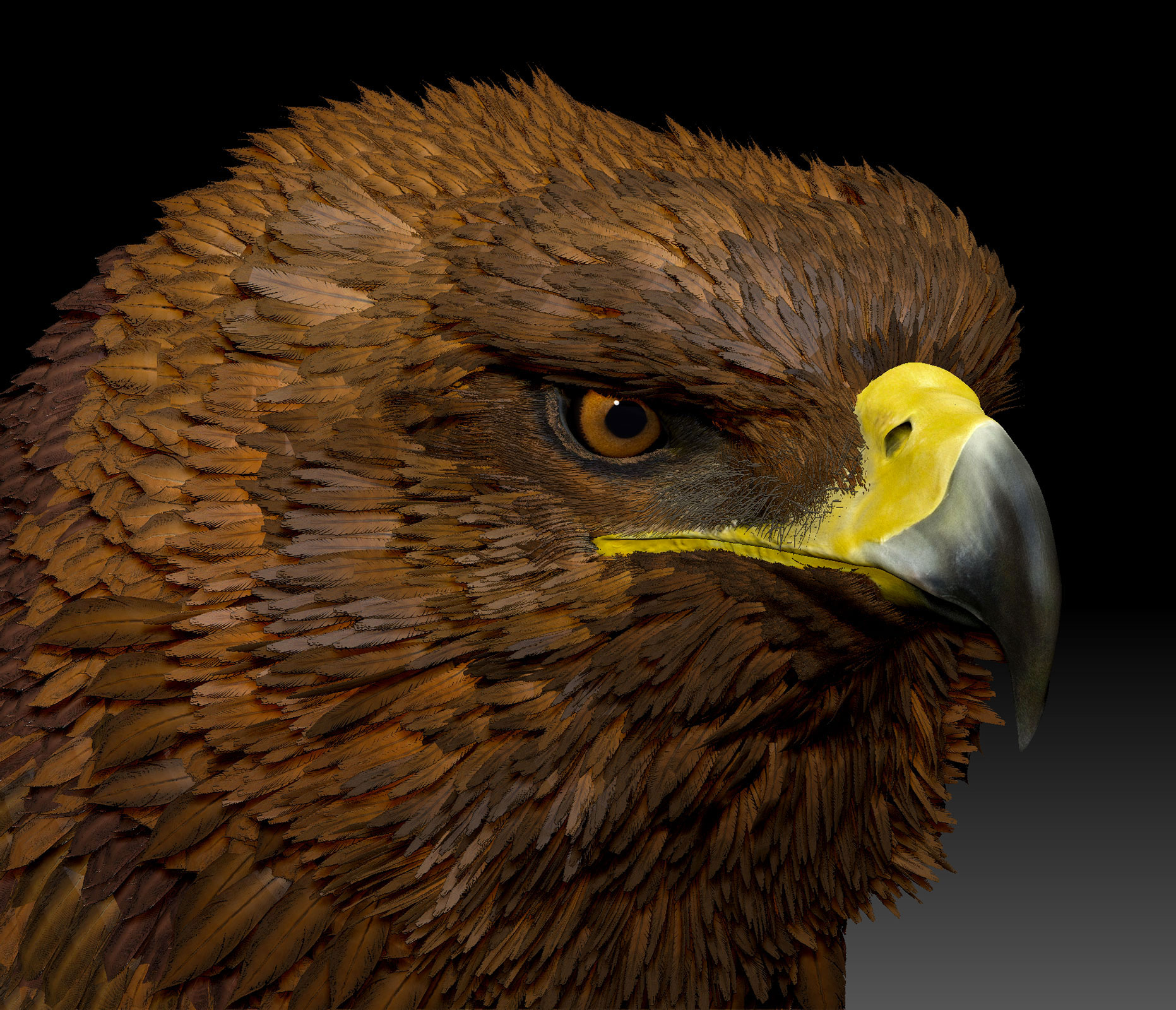 zbrush eagle